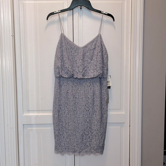 ✨ Adrianna Papell ✨ NWT Guipure Lace Blouson Dress Light Dove Size 6 - Picture 4 of 10